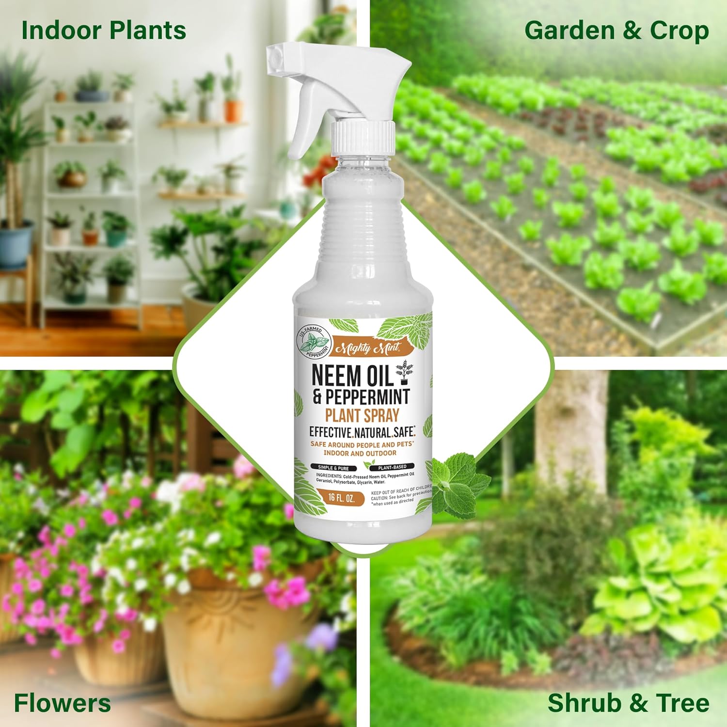 Natural Plant Spray, 16oz Y36467