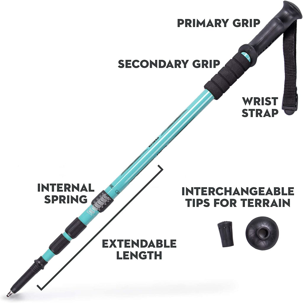 Aluminum Trekking Pole with Interchangeable Tips I4156