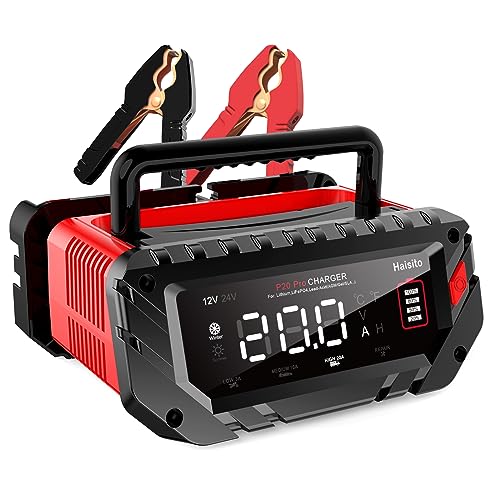 20 Amp Lithium Battery Charger, 12V and 24V Lifepo4, Lead-Acid Portable Car Battery Charger V704