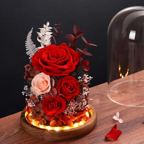 Real Red Roses in Glass Dome with LED Lights W74009