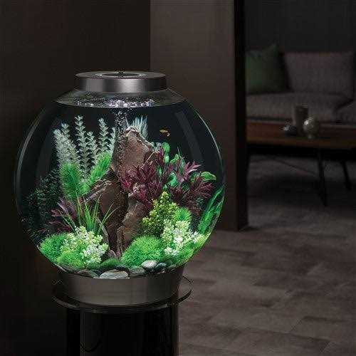 Classic 60 Aquarium with LED A877