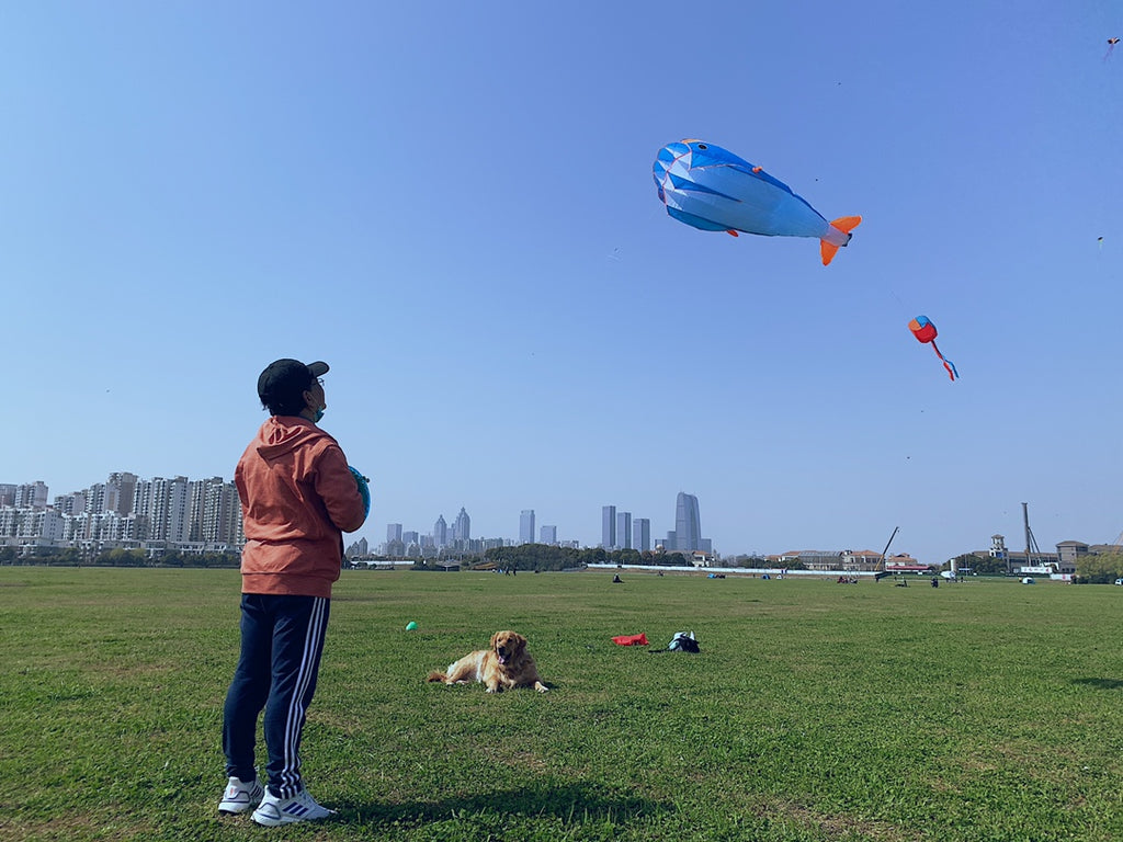 Blue Polyester 78inch Whale Dolphin Kite F146