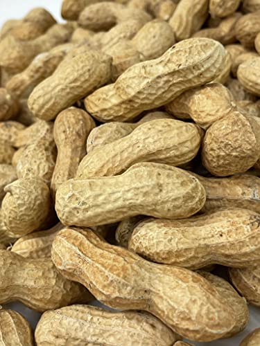 Raw Peanuts in Shell 10LB L10591