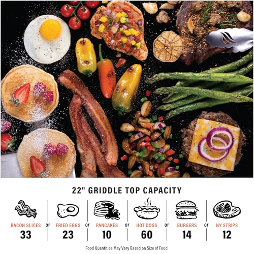 22” Stainless Steel Gas Griddle with Hood D901