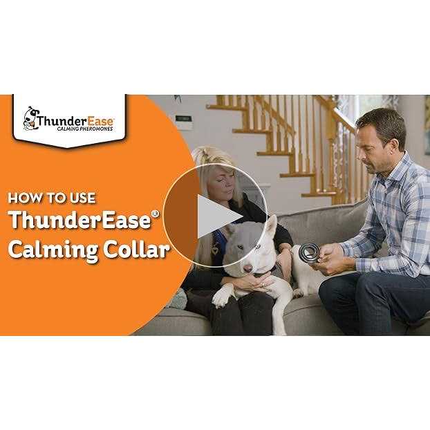 Calming Dog Collar N67826