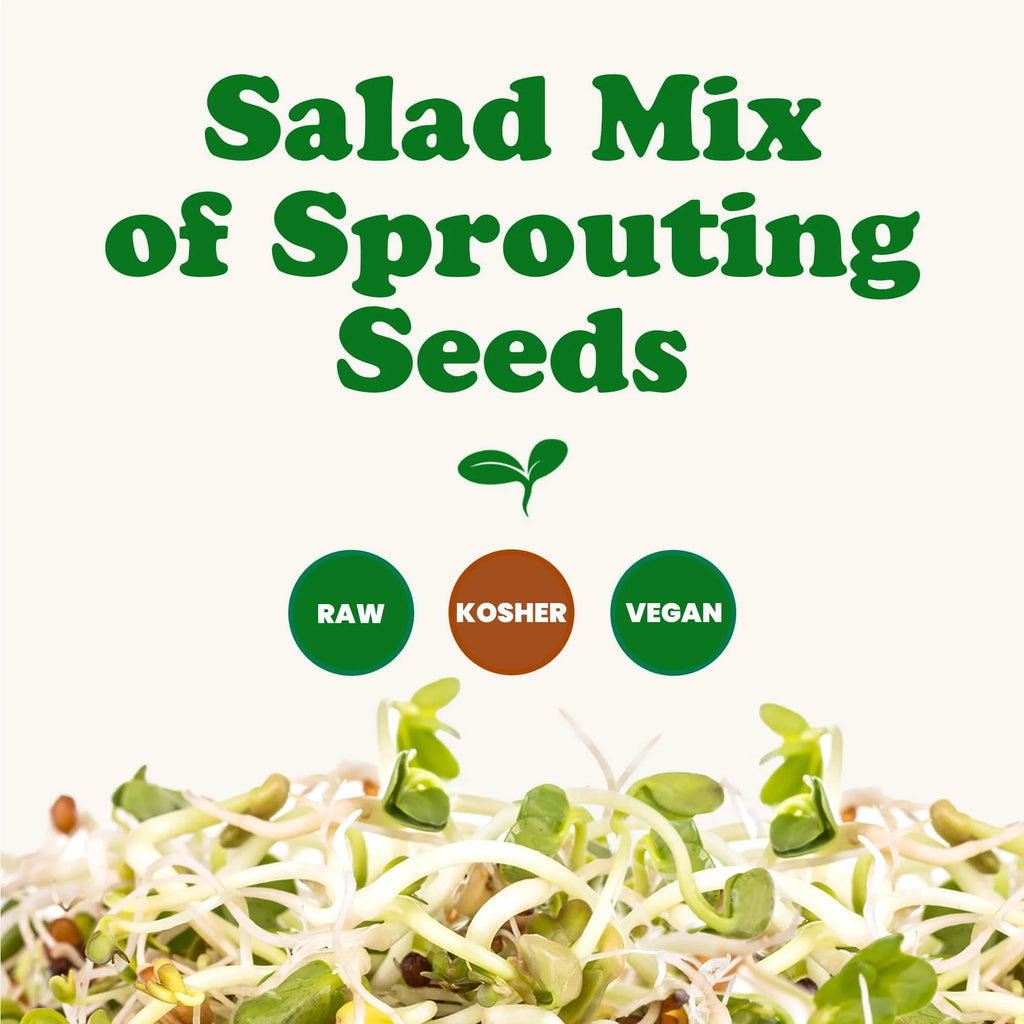 5 Pounds Sprouting Seeds Salad Mix W695