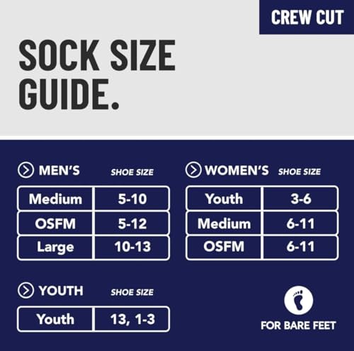 NFL Team Color Logo Crew Sock T49950