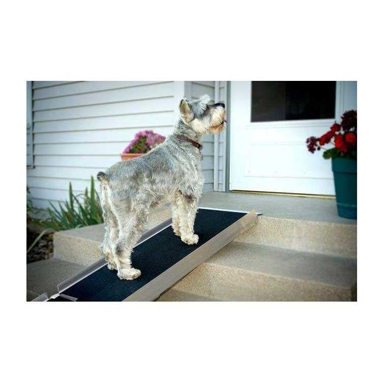 Telescoping Ramp K6828