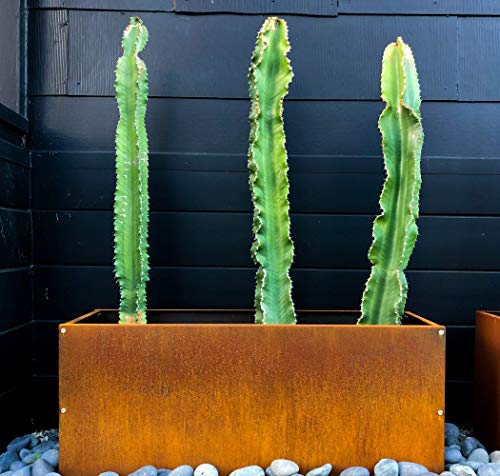 Corten Steel Cube Outdoor Planter Box, Large Raised Metal Garden Bed (12in x 12in x 12in) X8272