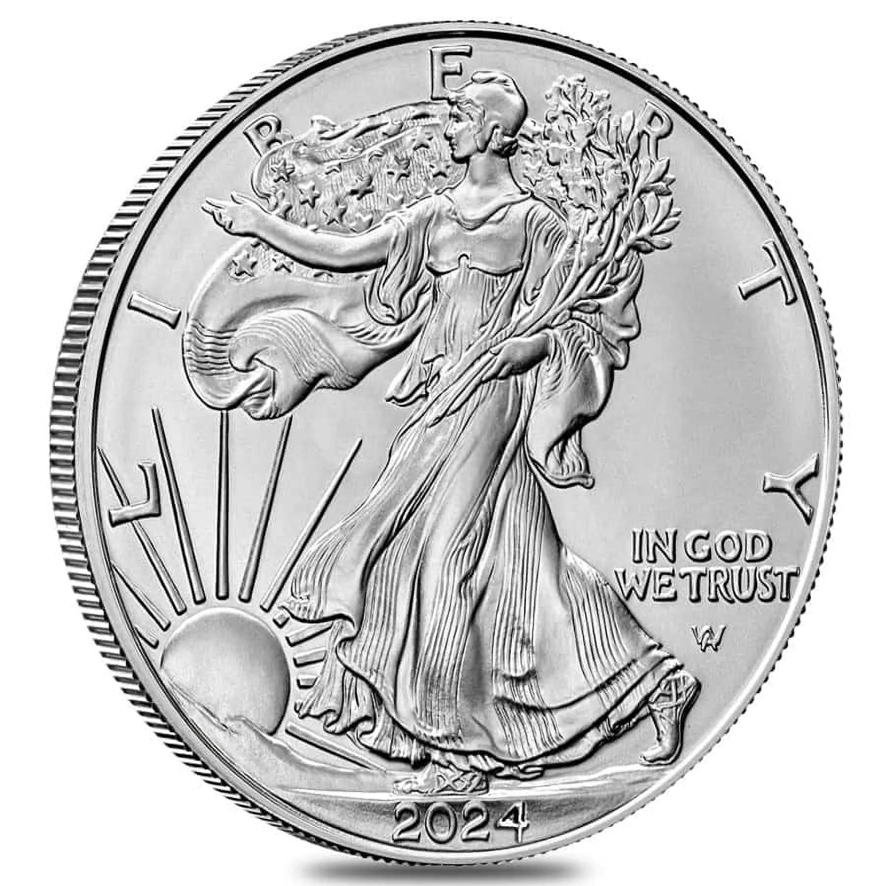 Lot of 100 - 2024 1 oz Silver American Eagle $1 Coin BU G230