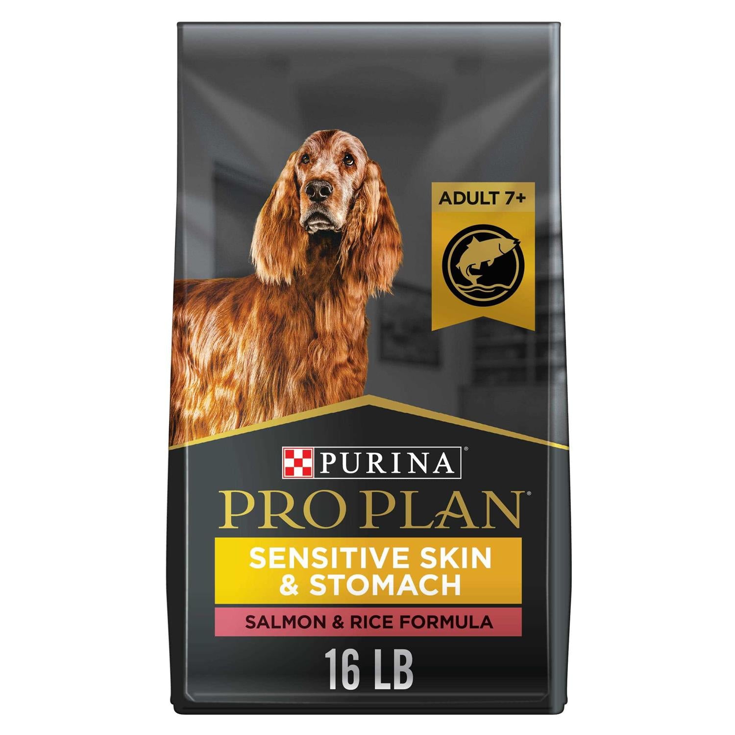 Senior Dry Dog Food Salmon & Rice Formula K81216