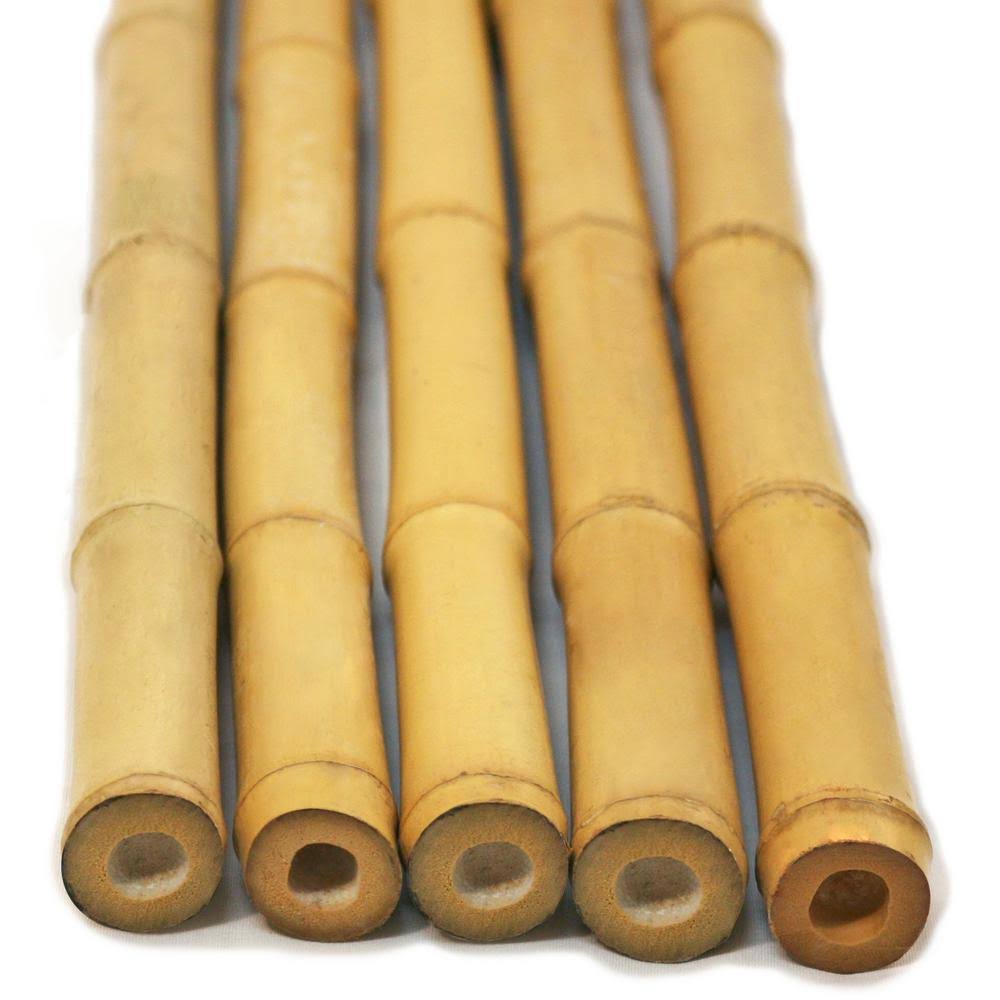 Natural Bamboo Poles 2in x 8ft (10 Pieces) X4422