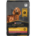 Senior Dry Dog Food Salmon & Rice Formula K81216
