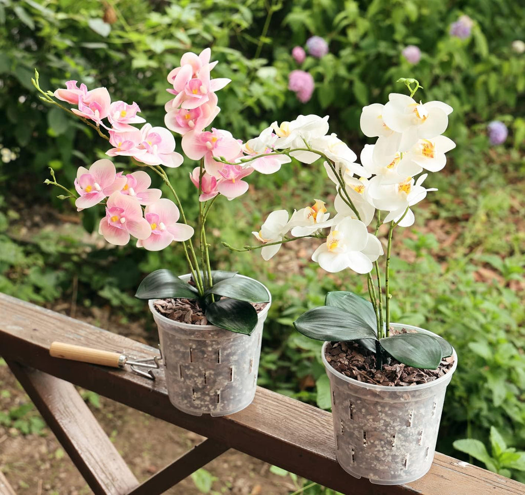 Clear Orchid Pot 6 Inch 5Pack Plastic Planter D751559