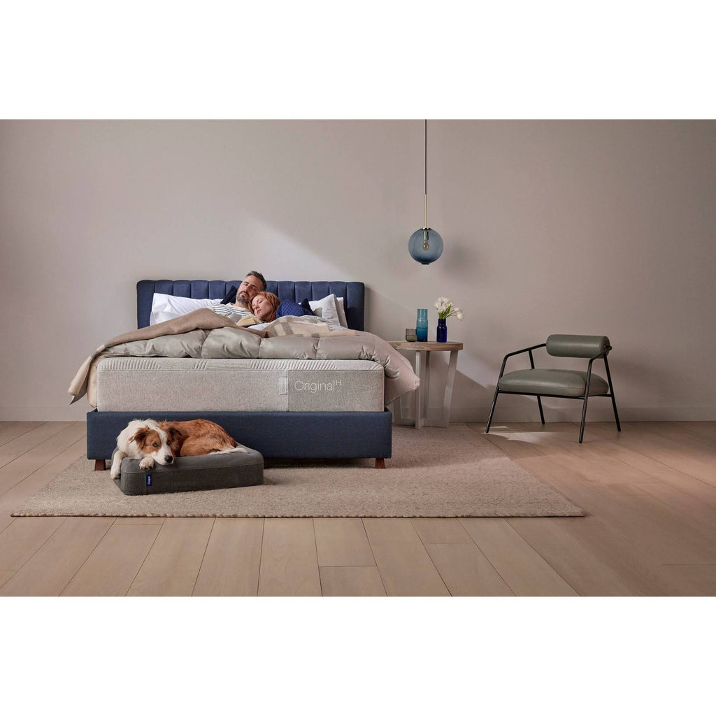 Large Dog Bed in Blue U587838