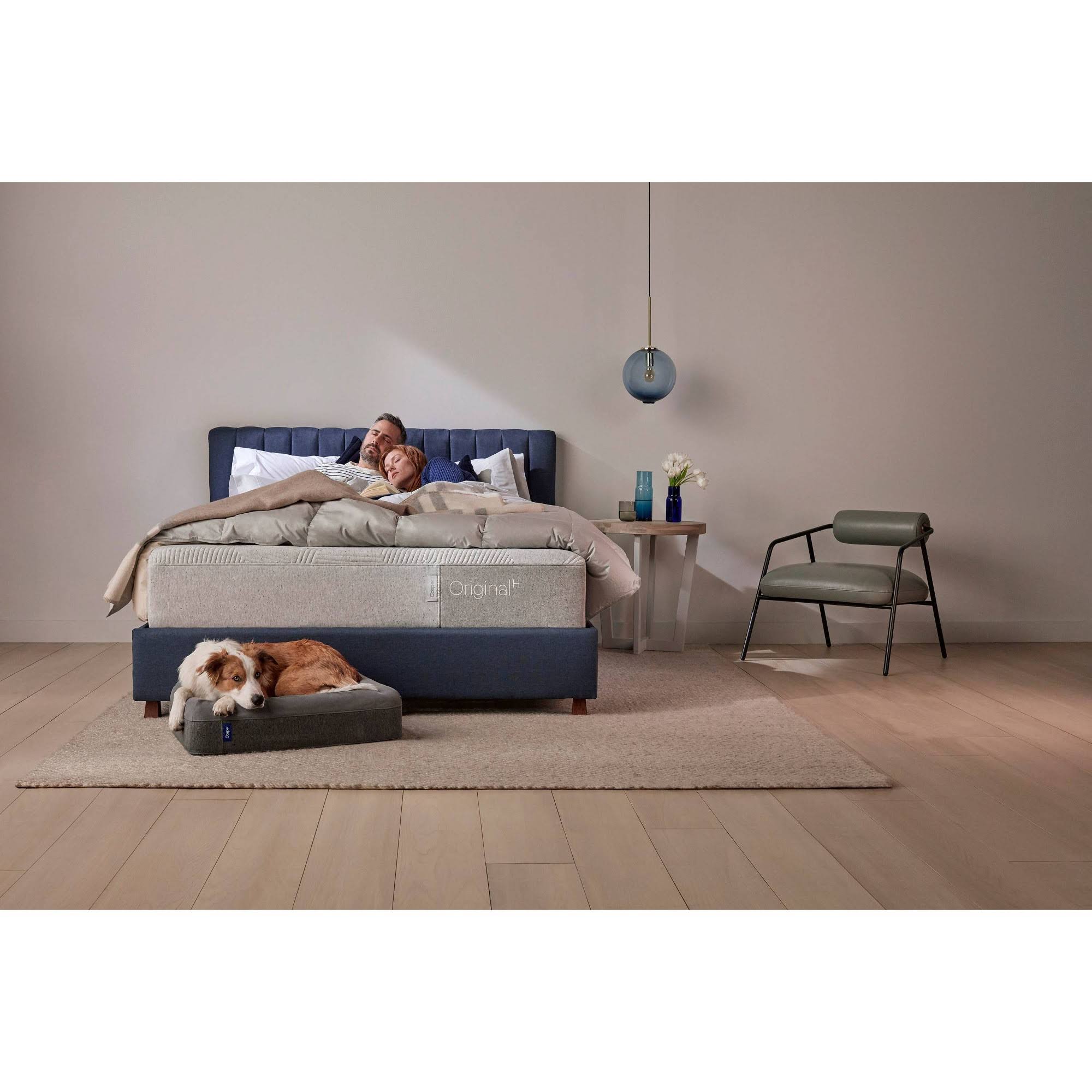 Large Dog Bed in Blue U587838