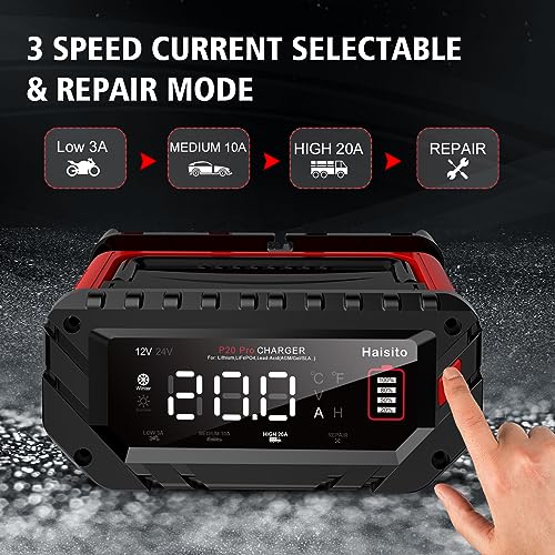 20 Amp Lithium Battery Charger, 12V and 24V Lifepo4, Lead-Acid Portable Car Battery Charger V704