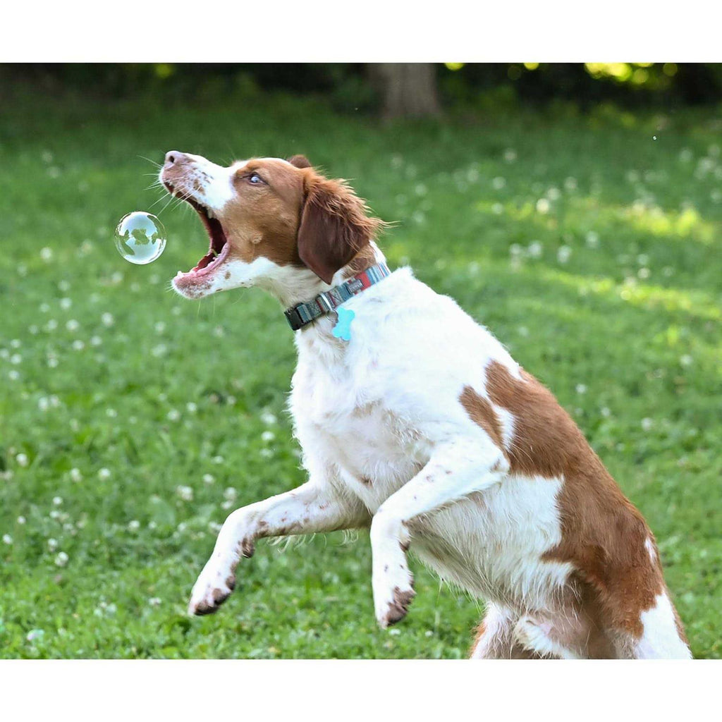 Peanut Butter & Bacon Scented Bubbles 4 oz Bottle 2 Pack for Dogs F1778