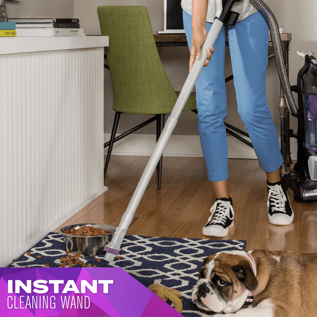 Upright Vacuum Cleaner N302