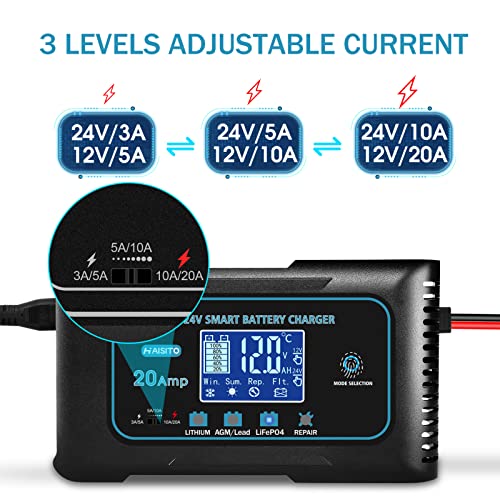 20 Amp Lithium Battery Charger, 12V and 24V Lifepo4, Lead-Acid Portable Car Battery Charger V704