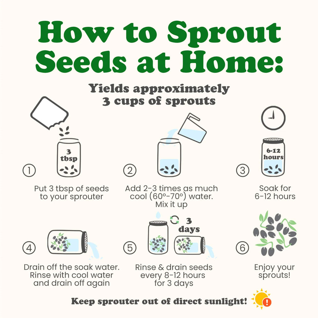 5 Pounds Sprouting Seeds Salad Mix W695