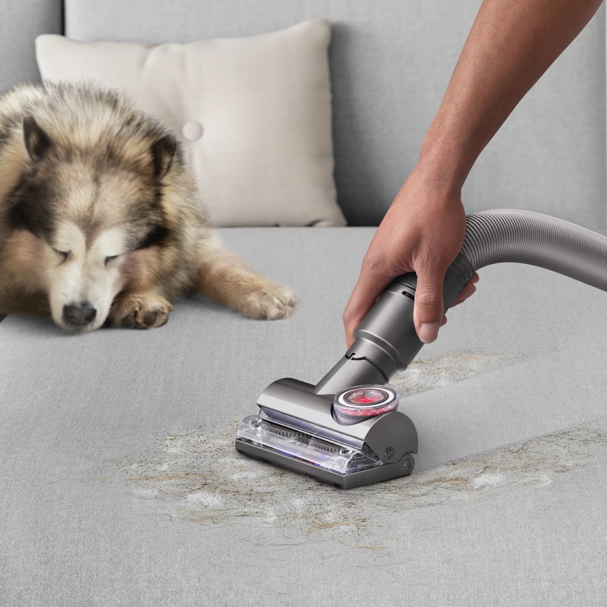 Gold Upright Vacuum M36826