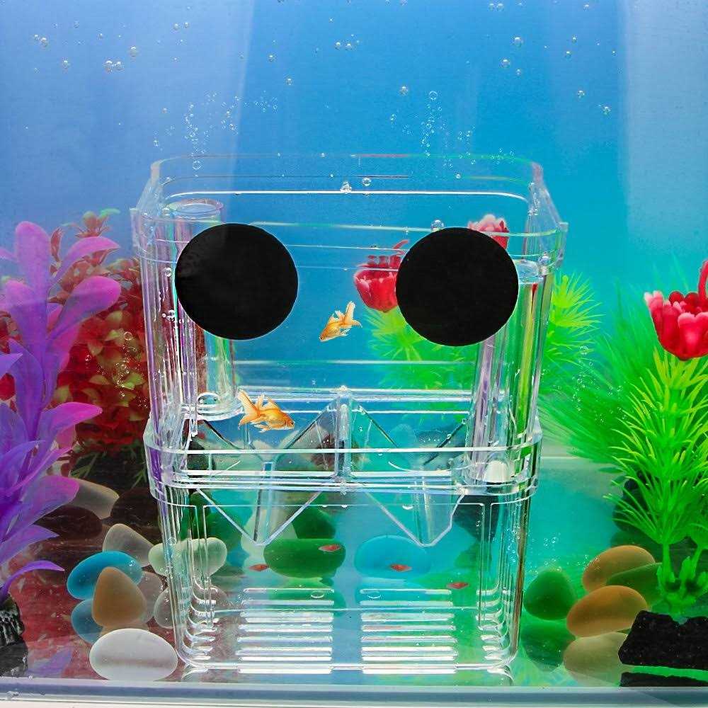 Plastic Fish Isolation Breeding Box A762906