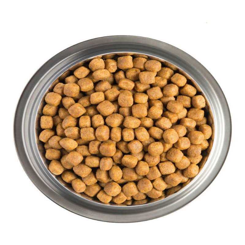 CardioCare Canine Formula Pet Supplies N966487