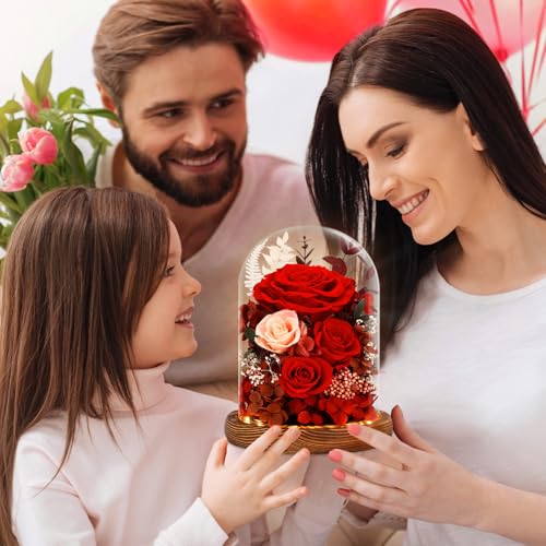 Real Red Roses in Glass Dome with LED Lights W74009