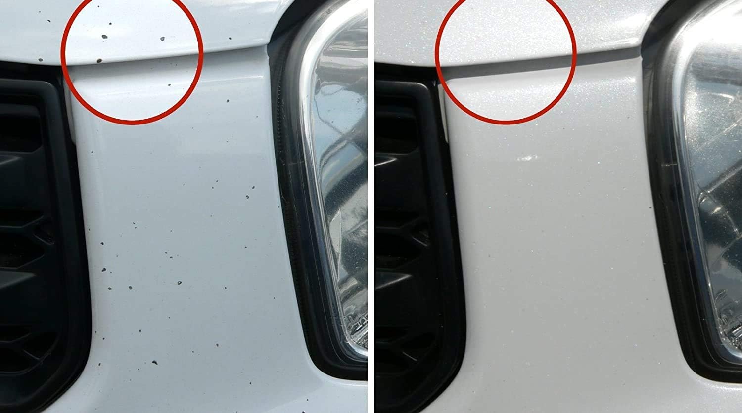 Automobile Touch-Up Paint Kit T550