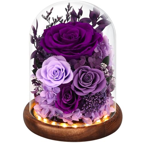 Real Red Roses in Glass Dome with LED Lights W74009