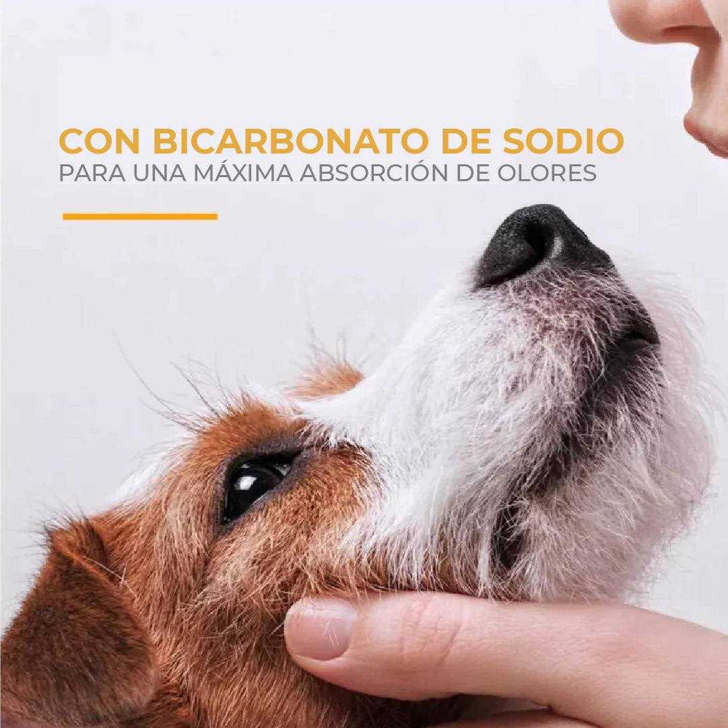 Super Deodorizing Pet Shampoo D568184
