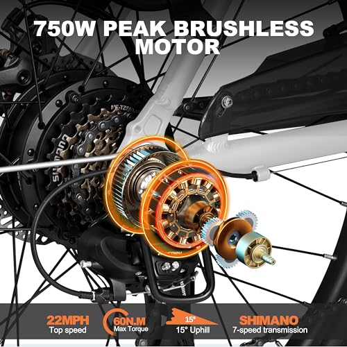 Electric Bike with 1000W Brushless Motor, Removable Battery, 7 Speed H978671