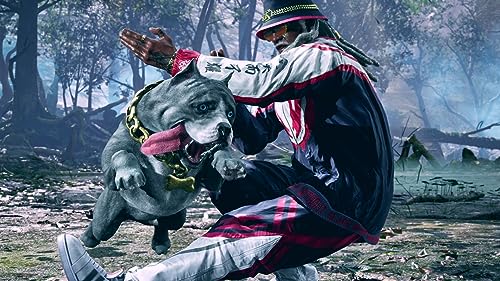 Tekken 8 G113219