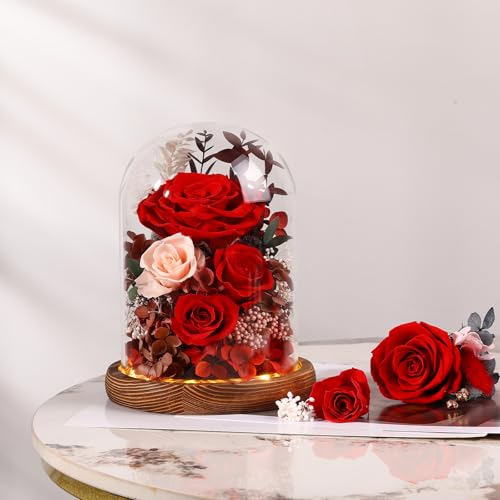 Real Red Roses in Glass Dome with LED Lights W74009