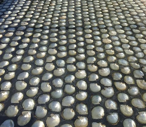 1 Gallon Clear Marine Grade Epoxy Resin Y2150