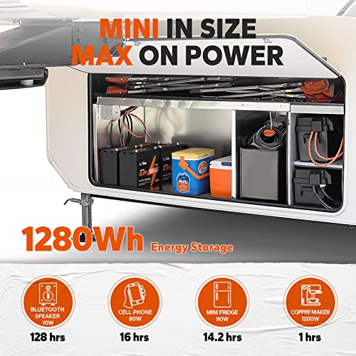 LiFePO4 Battery Built in BMS W169209