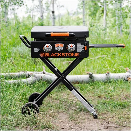 22” Stainless Steel Gas Griddle with Hood D901