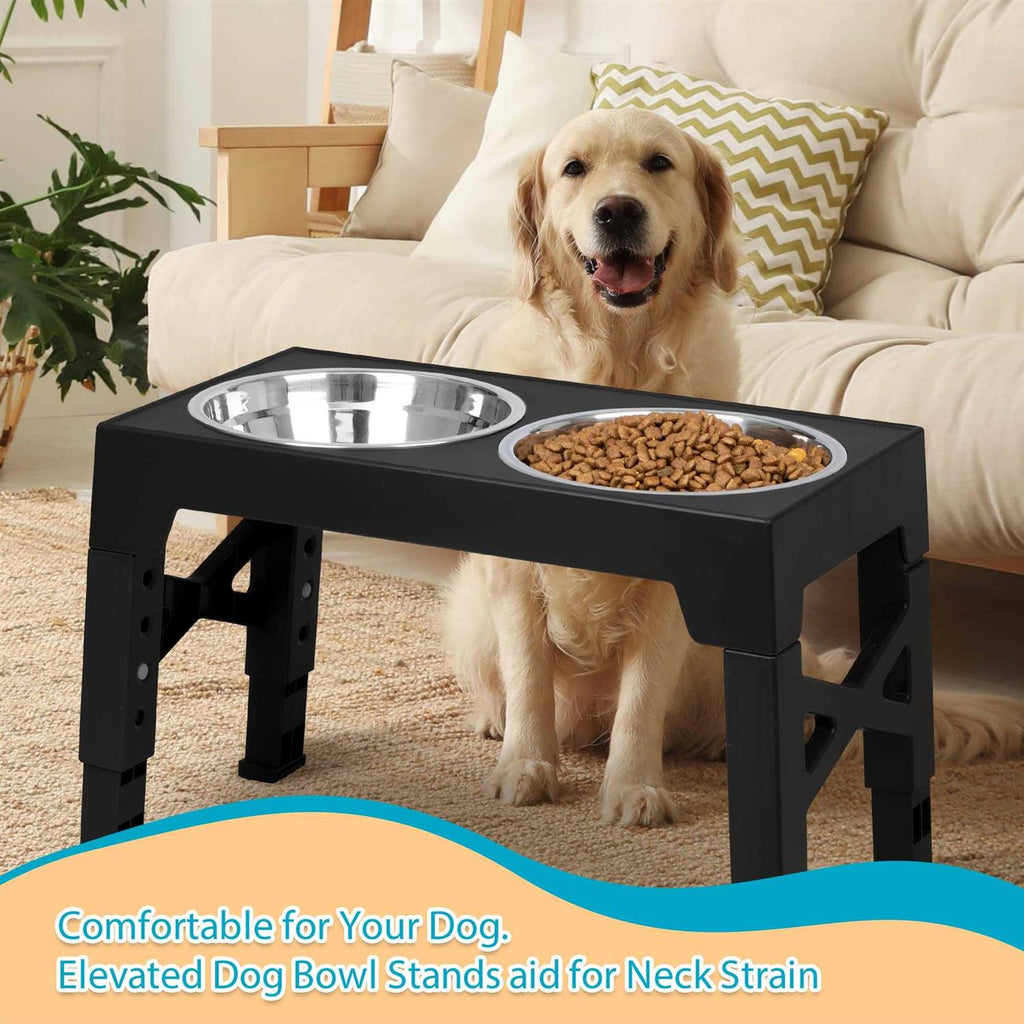 Elevated Dog Bowls with 2 Stainless Steel Dog Food Bowls U91999