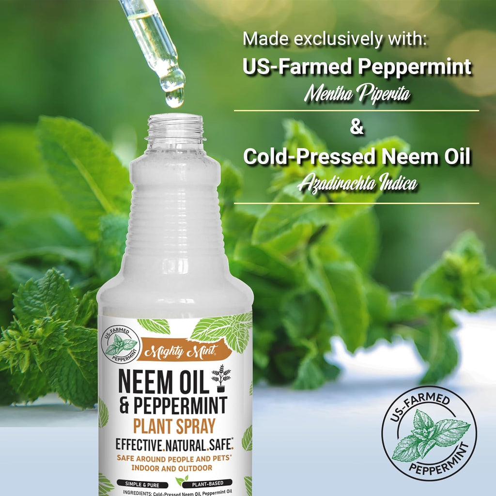 Natural Plant Spray, 16oz Y36467
