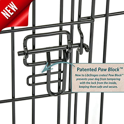 XL Folding Metal Dog Crate with Divider Panel, 48L x 30W x 33H Inches A350