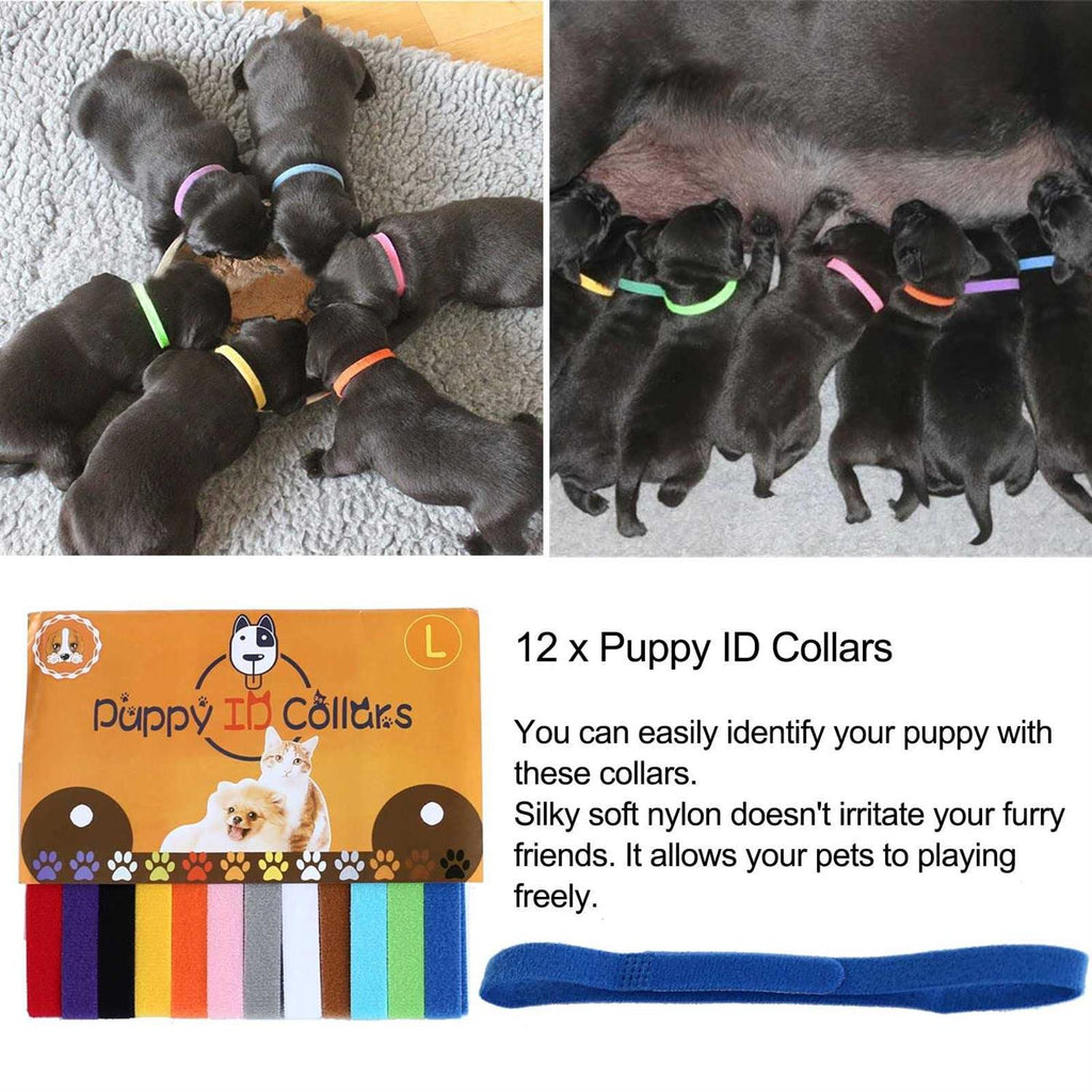 12pcs Whelping Kit with Whelping Collars and Puppy Feeding Tube Y551639
