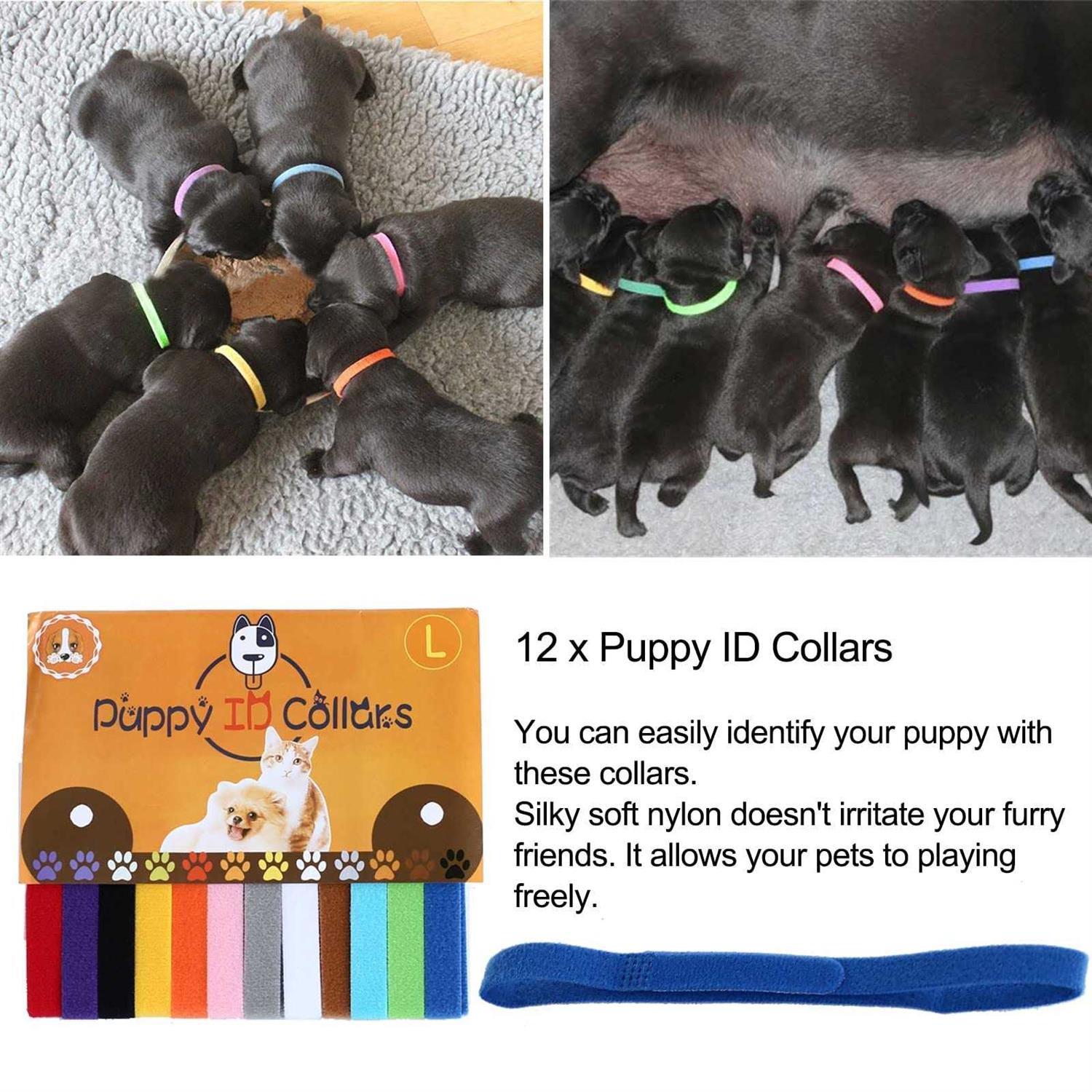 12pcs Whelping Kit with Whelping Collars and Puppy Feeding Tube Y551639