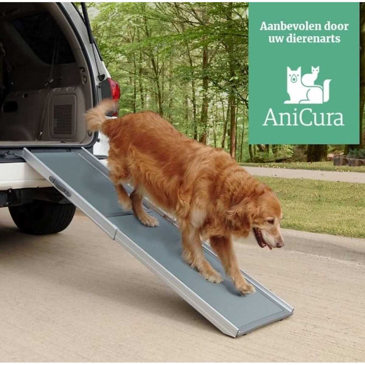 Telescoping Ramp K6828