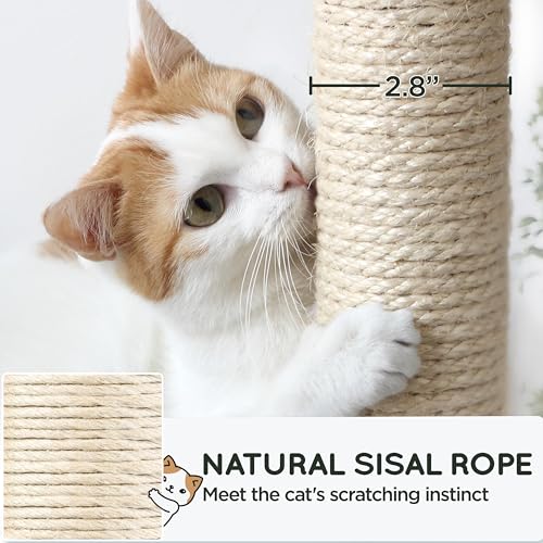 63 Inches Tall Cat Tree with Scratching Posts F5998