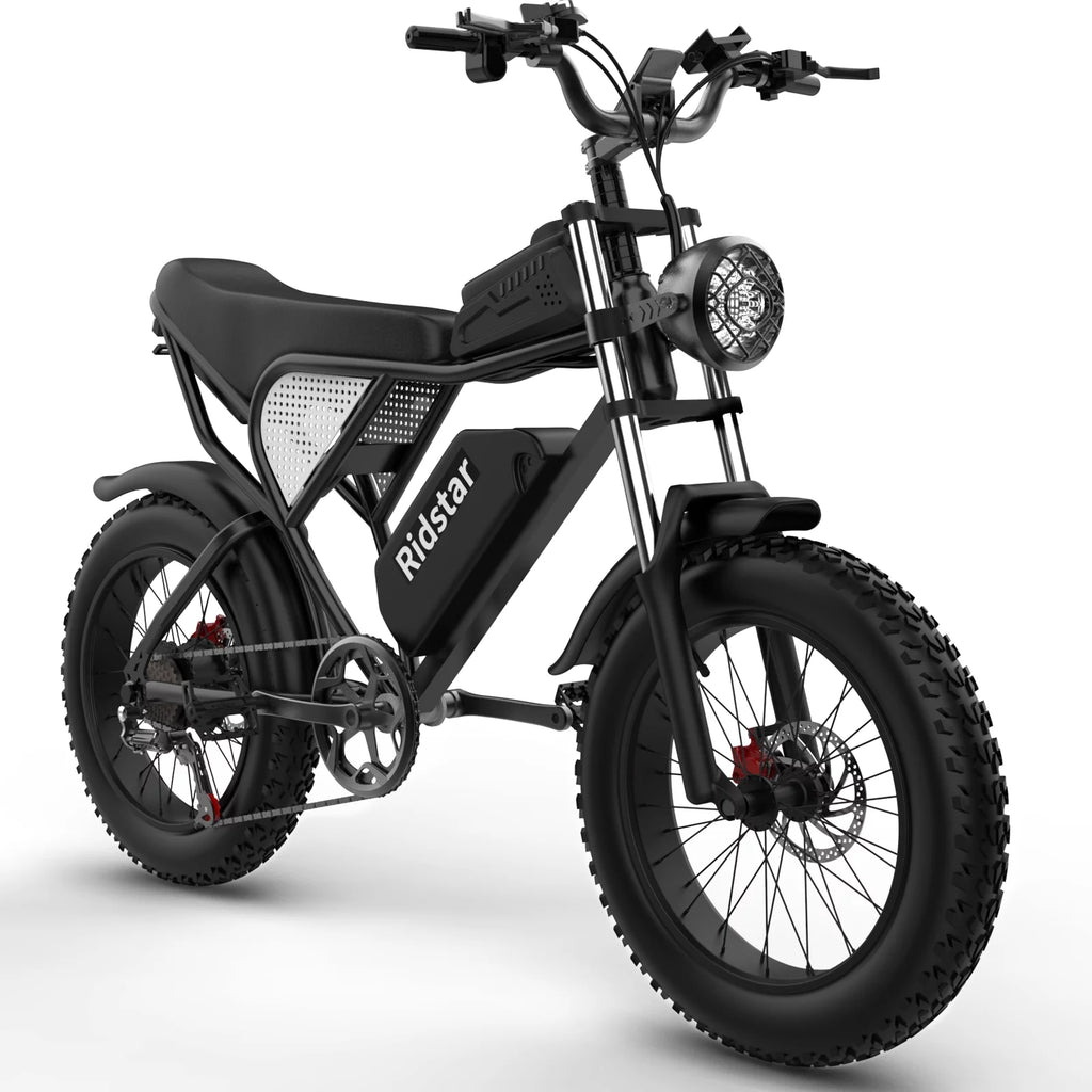 20" Fat Tire 1000W Electric Bike with Removable 48V/20Ah Battery W163900