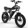 20" Fat Tire 1000W Electric Bike with Removable 48V/20Ah Battery W163900