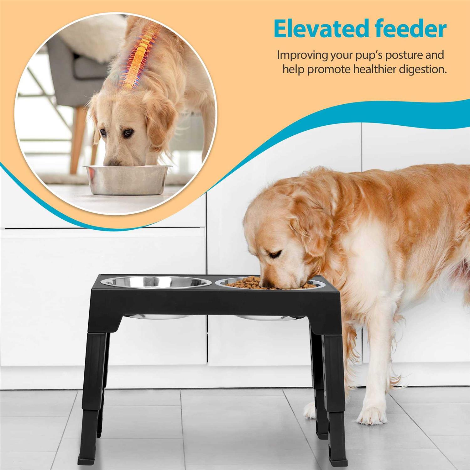 Elevated Dog Bowls with 2 Stainless Steel Dog Food Bowls U91999