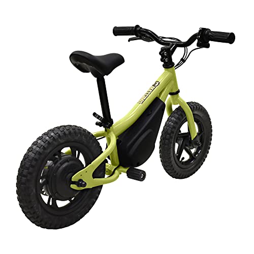 Electric Bike for Kids 150 Watt Z540636