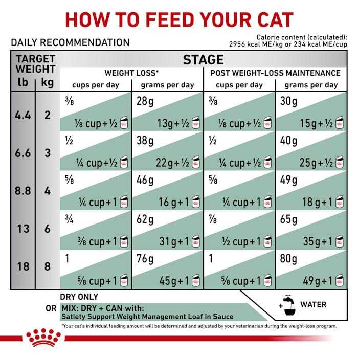 Veterinary Satiety Weight Management Pet Supplies M843517